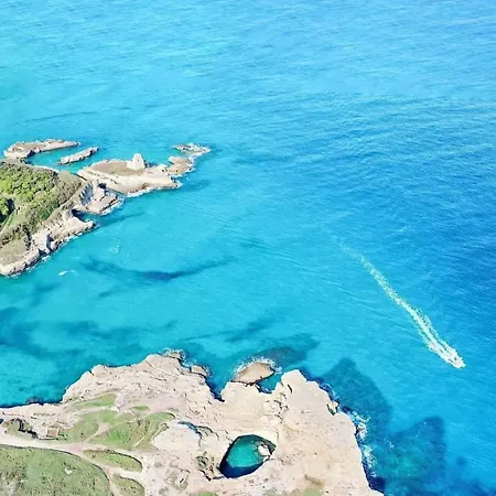 Vila Vilei